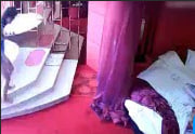 酒店监控惊现极品双姝肉体交缠，私密春光全被偷拍流出